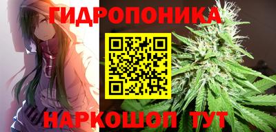 бошки Краснознаменск