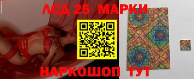 шишки Отрадный