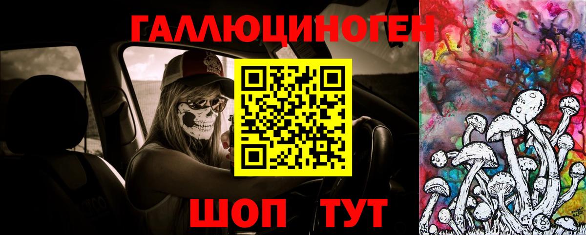 Ипатово  Галлюциногенные грибы ЛСД  Вход с VPN 