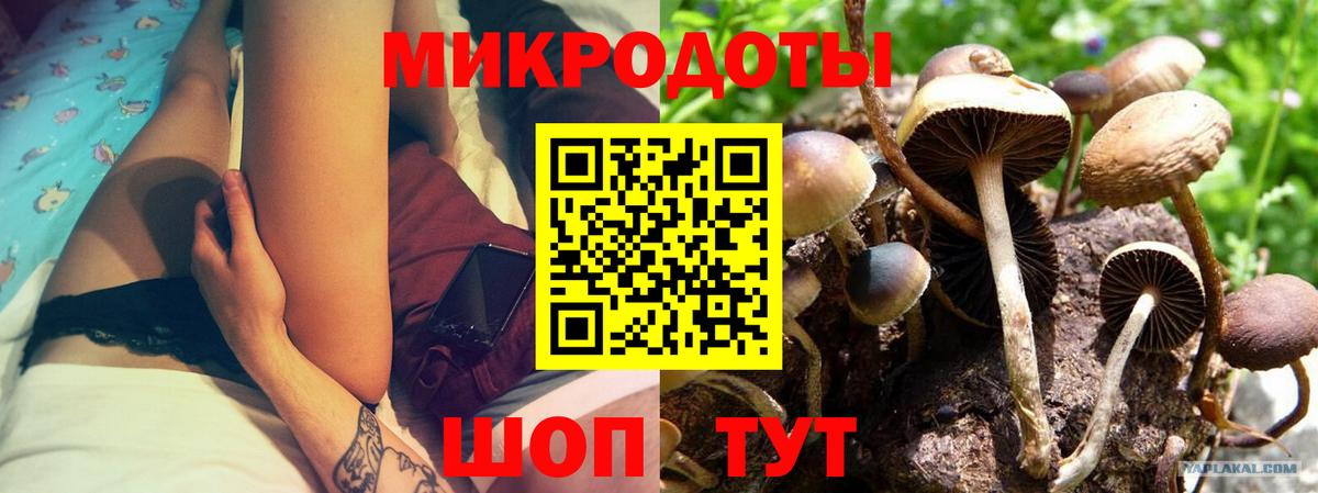Галлюциногенные грибы GOLDEN TEACHER Ипатово
